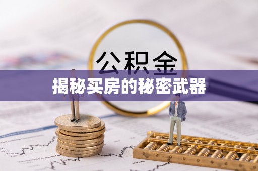 颍州揭秘买房的秘密武器