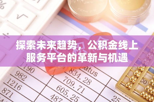 颍州探索未来趋势，公积金线上服务平台的革新与机遇