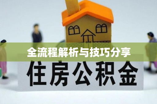 颍州全流程解析与技巧分享